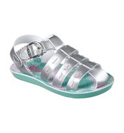 SILVER-MULTI